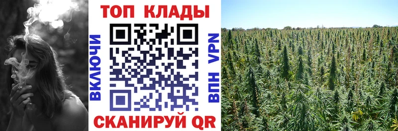 Купить Ядрин Галлюциногенные грибы  АМФЕТАМИН  COCAIN  ГАШ  Мефедрон  Бошки Шишки 