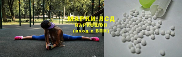 крисы Алзамай