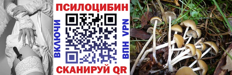 Псилоцибиновые грибы Cubensis  Ядрин 